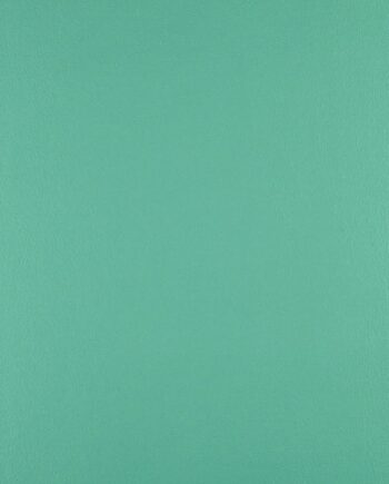 Just Colour - Applemint