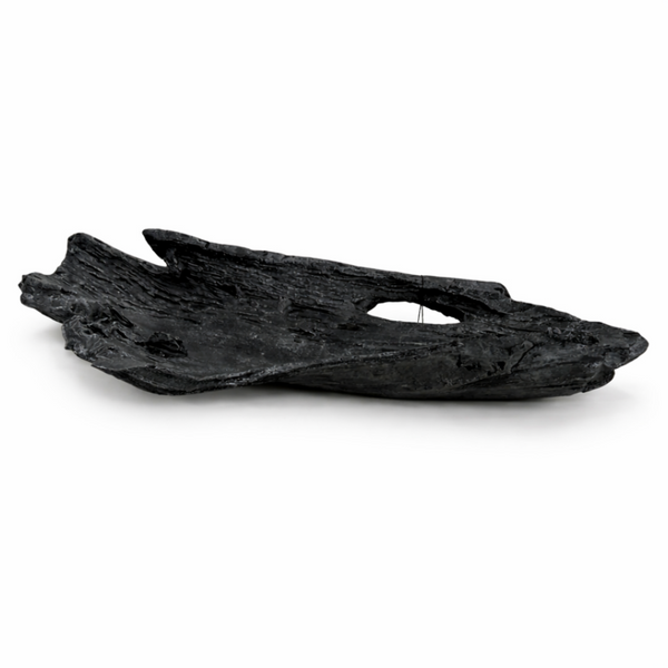 Black driftwood piece on a white background