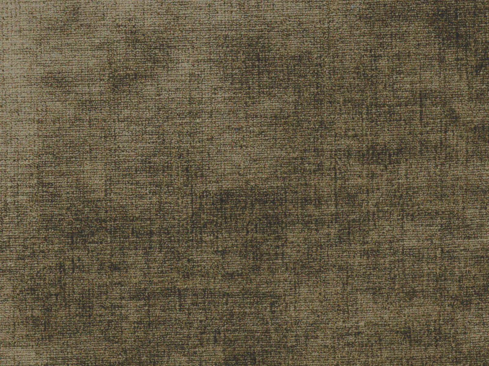 Celina - Bark