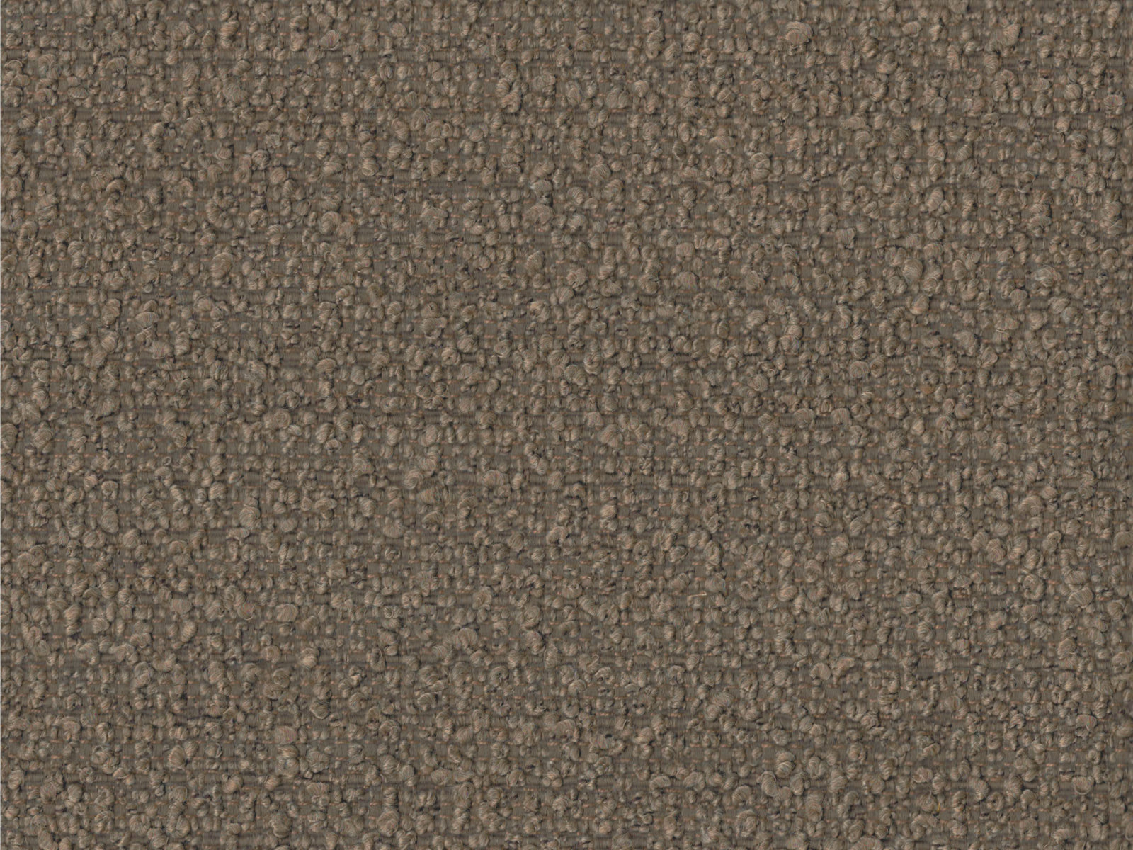 Cortona-FR - 3092 Mocha