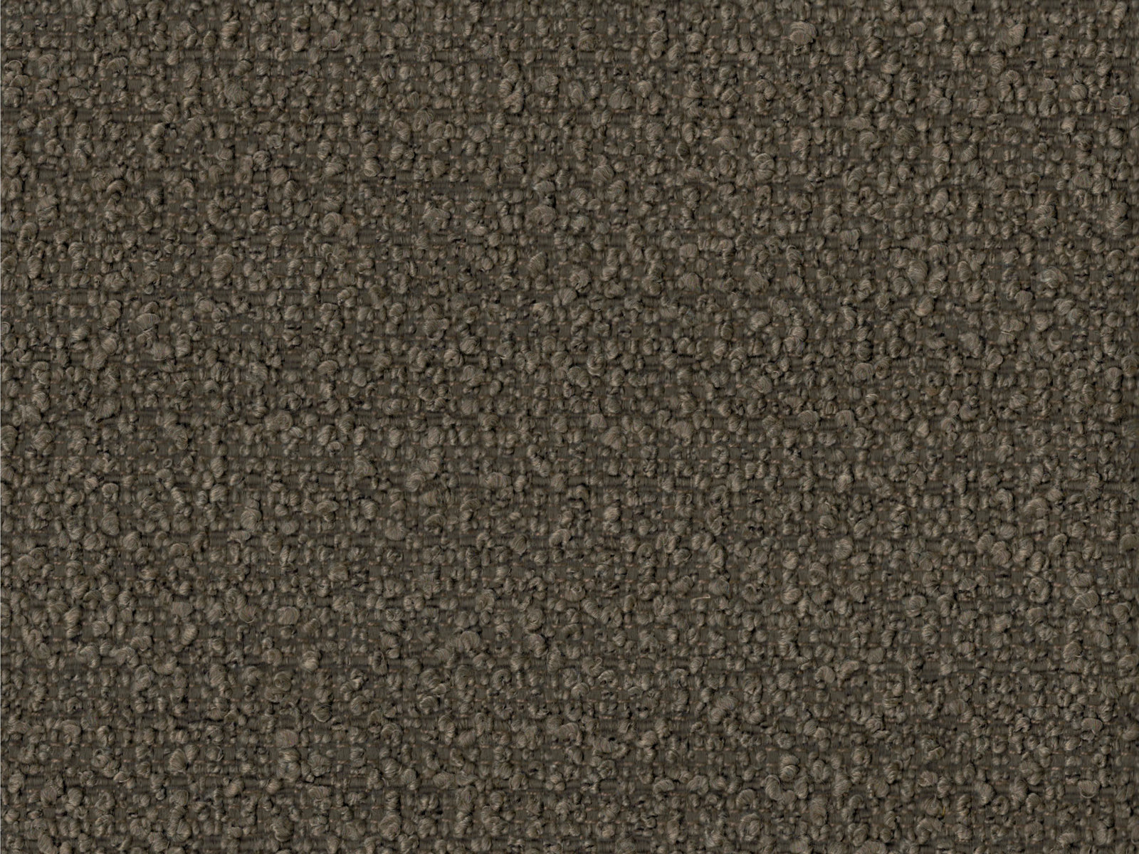 Cortona-FR - 3093 Nutmeg