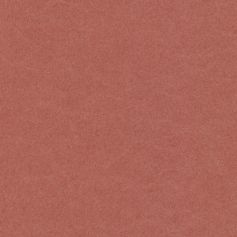 Renaiya - Terracotta