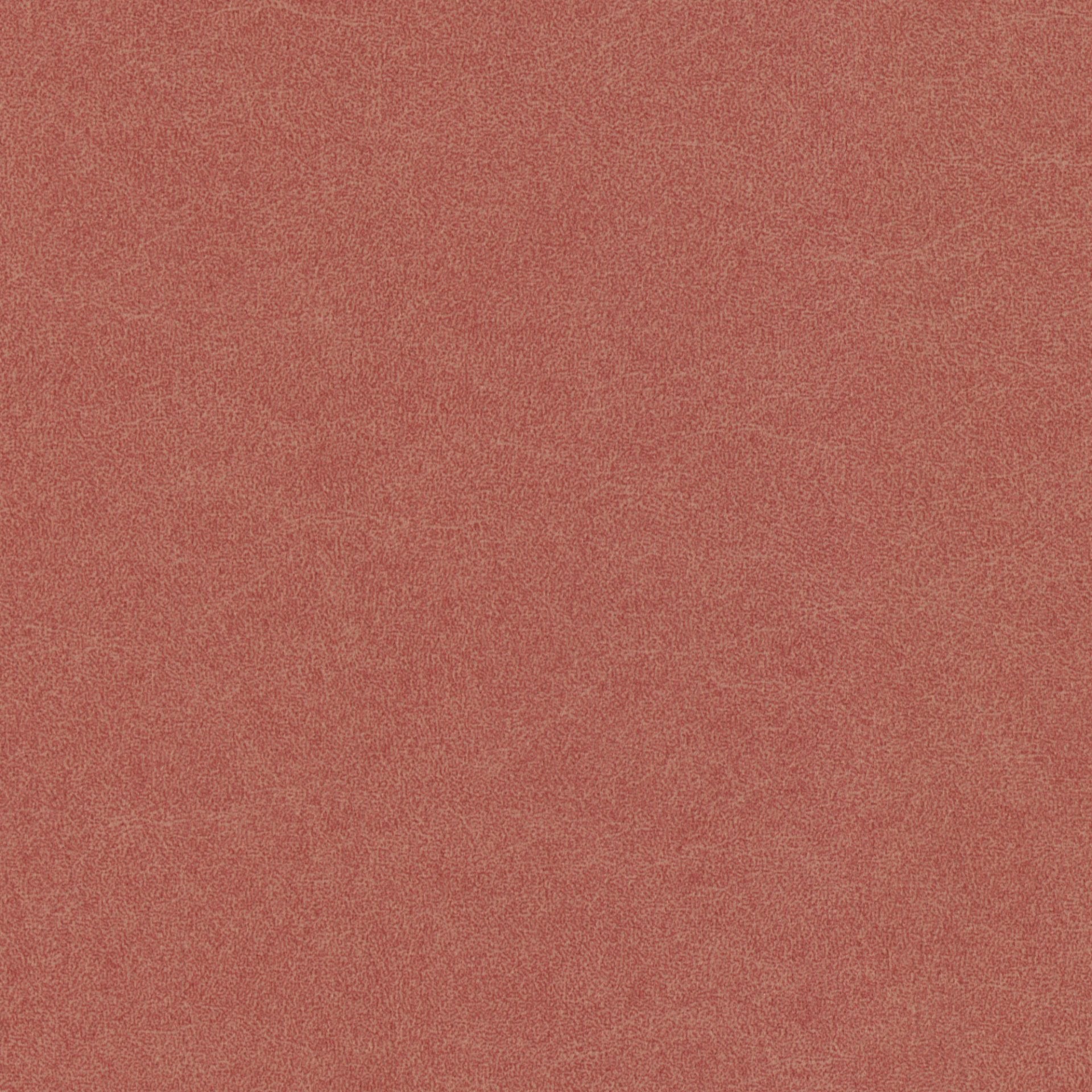 Renaiya - Terracotta