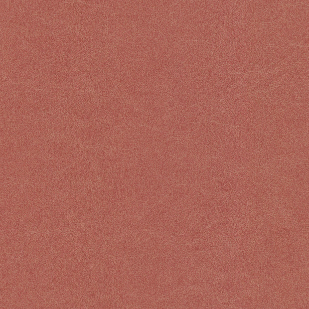 Renaiya - Terracotta