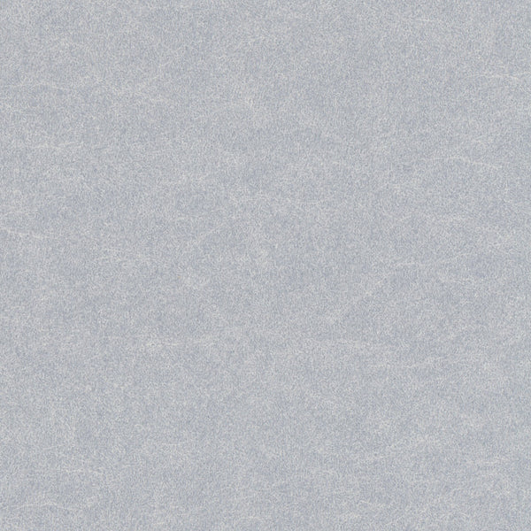 Renaiya - Silver Grey