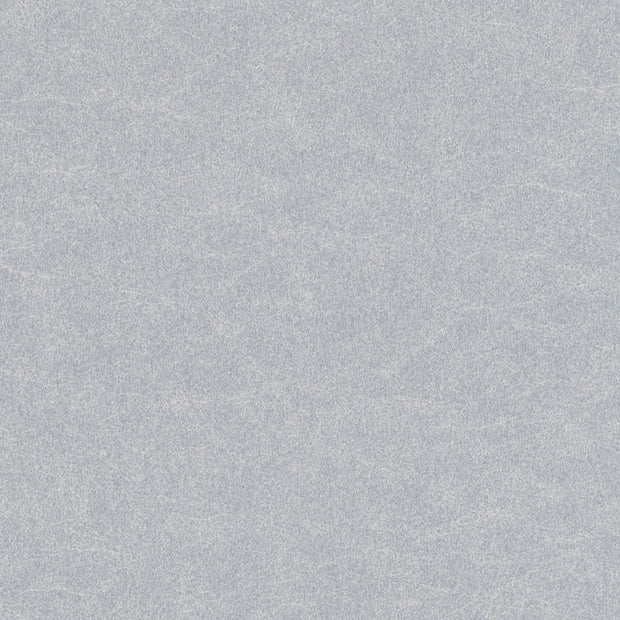 Renaiya - Silver Grey