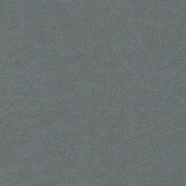 Renaiya - Steel Blue