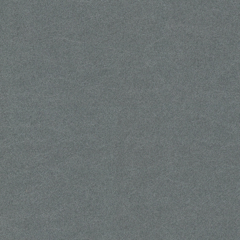 Renaiya - Steel Blue