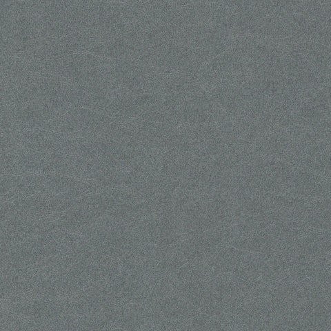 Renaiya - Steel Blue