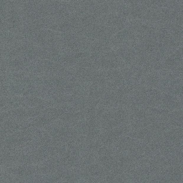 Renaiya - Steel Blue