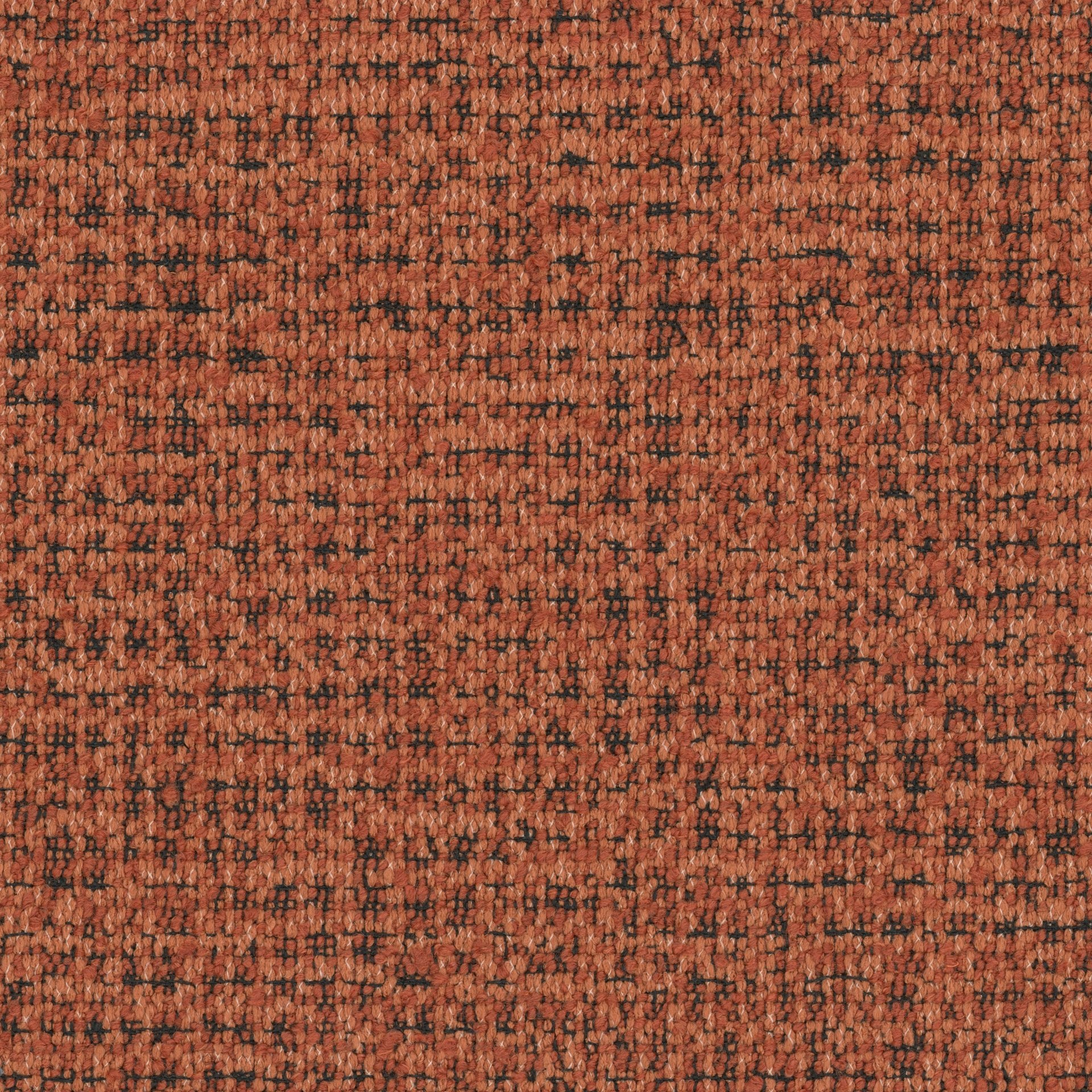 Coco - Cinnamon Clay