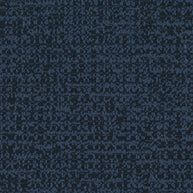 Coco - Midnight Navy