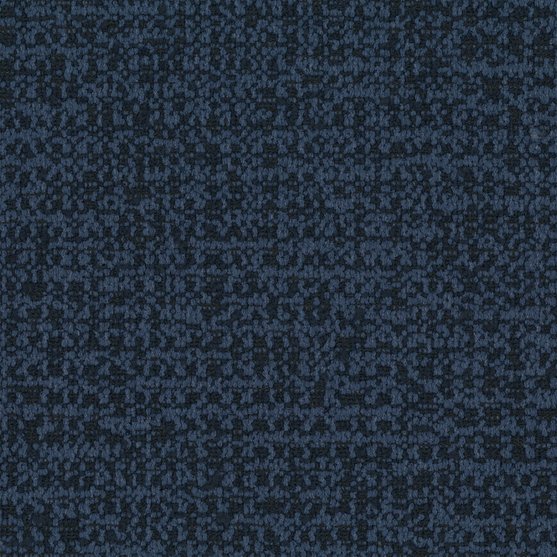 Coco - Midnight Navy