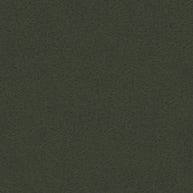 Corto - Forest Green