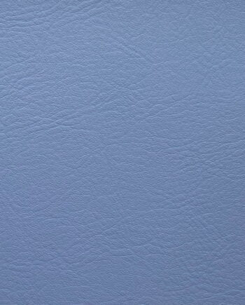 Just Colour - Dolphin