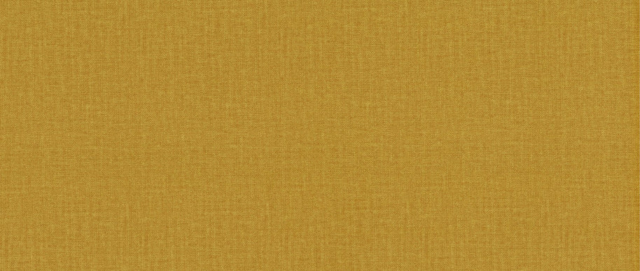 Fancy - Golden Ochre