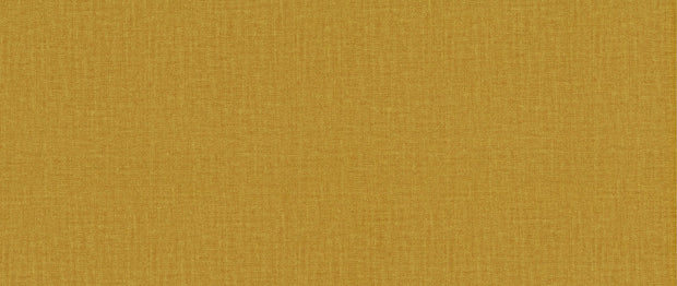 Fancy - Golden Ochre