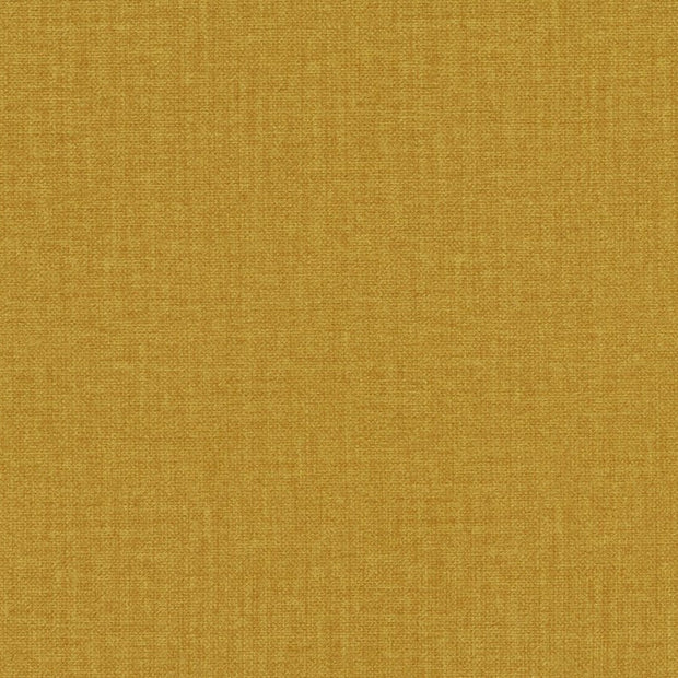 Fancy - Golden Ochre