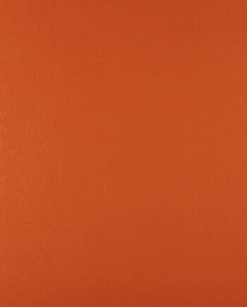 Just Colour - Gingersnap