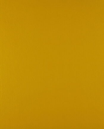 Just Colour - Golden Honey