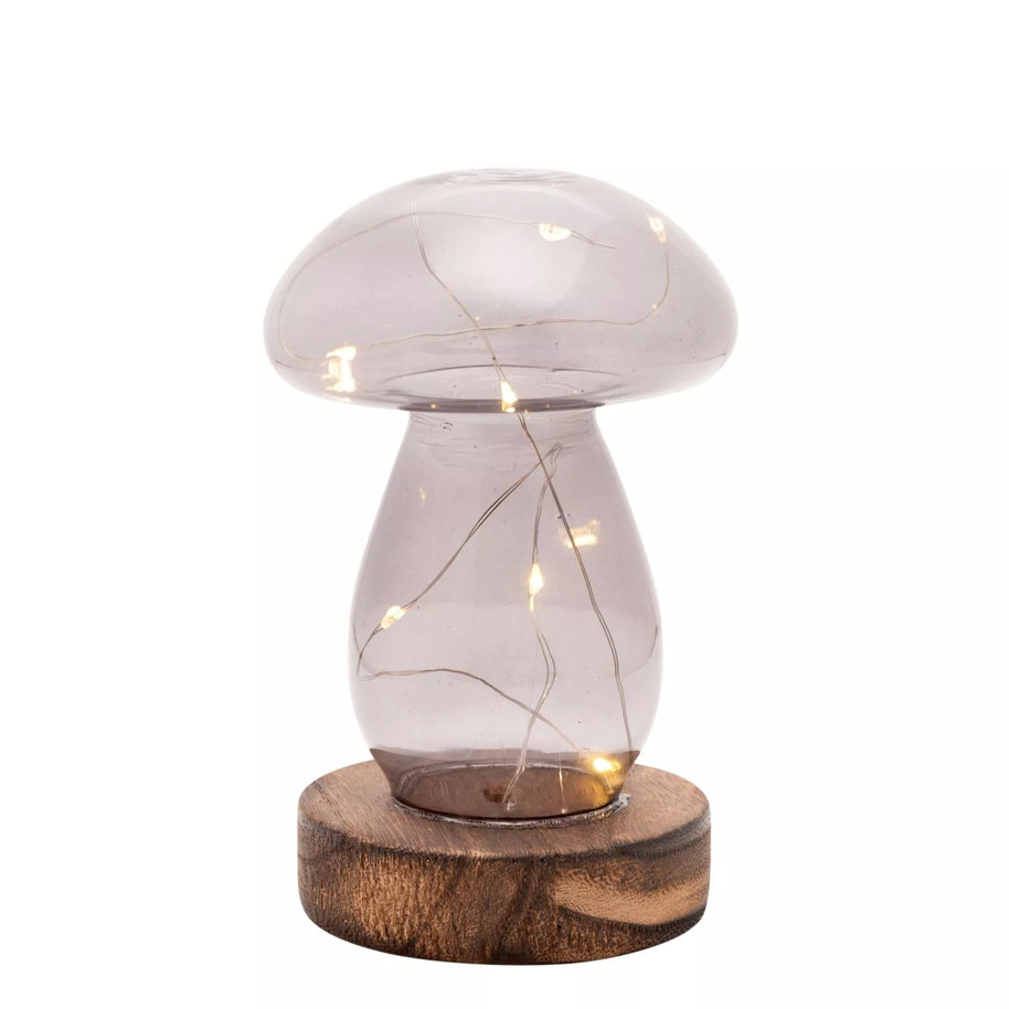 Grey Glass Mushroom lamp on a white background