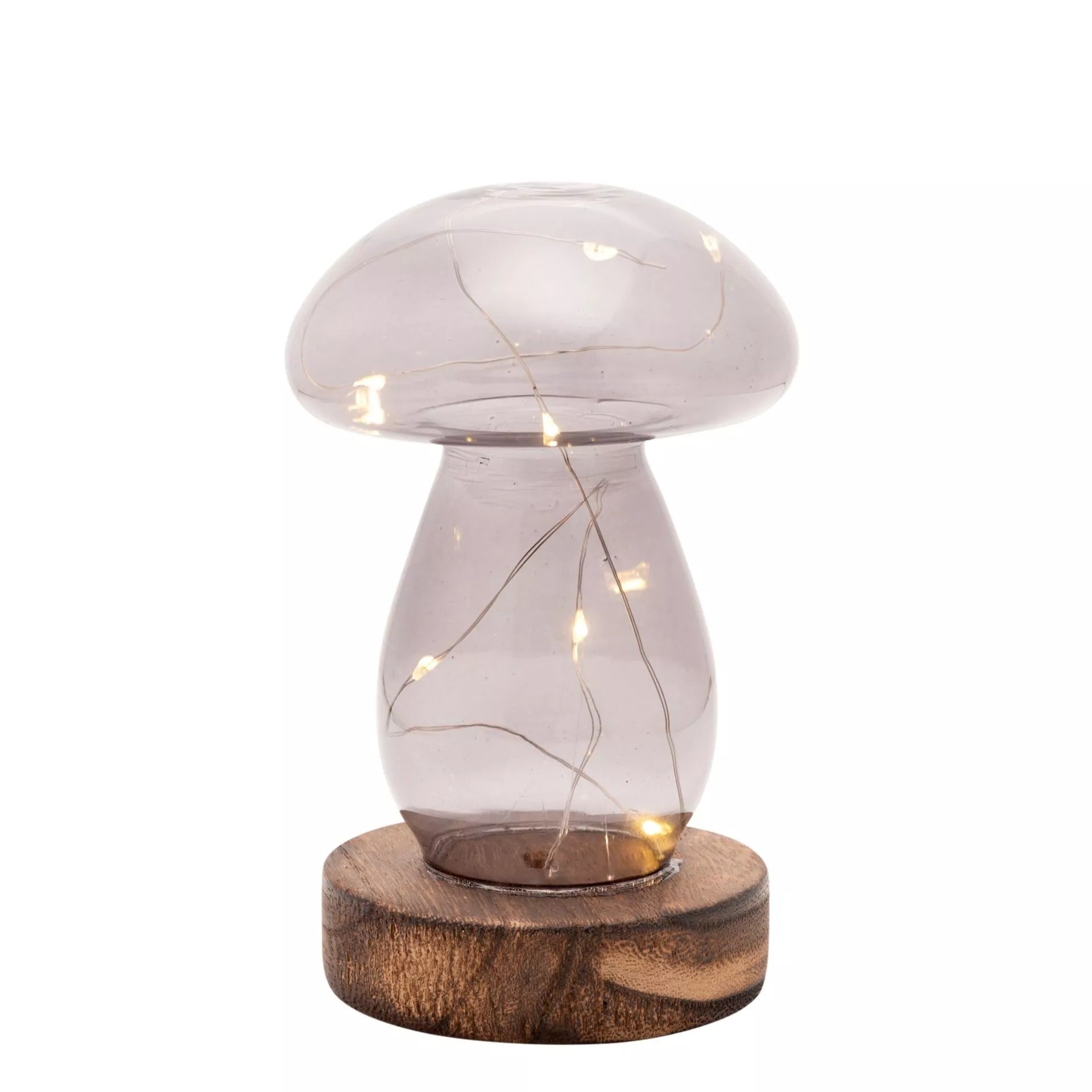 Grey Glass Mushroom lamp on a white background