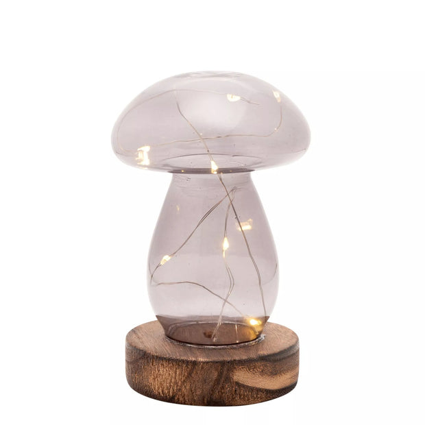 Grey Glass Mushroom lamp on a white background