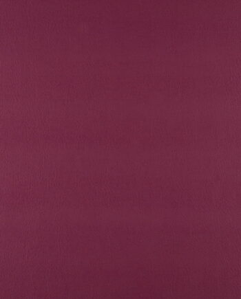 Just Colour - Jazzberry