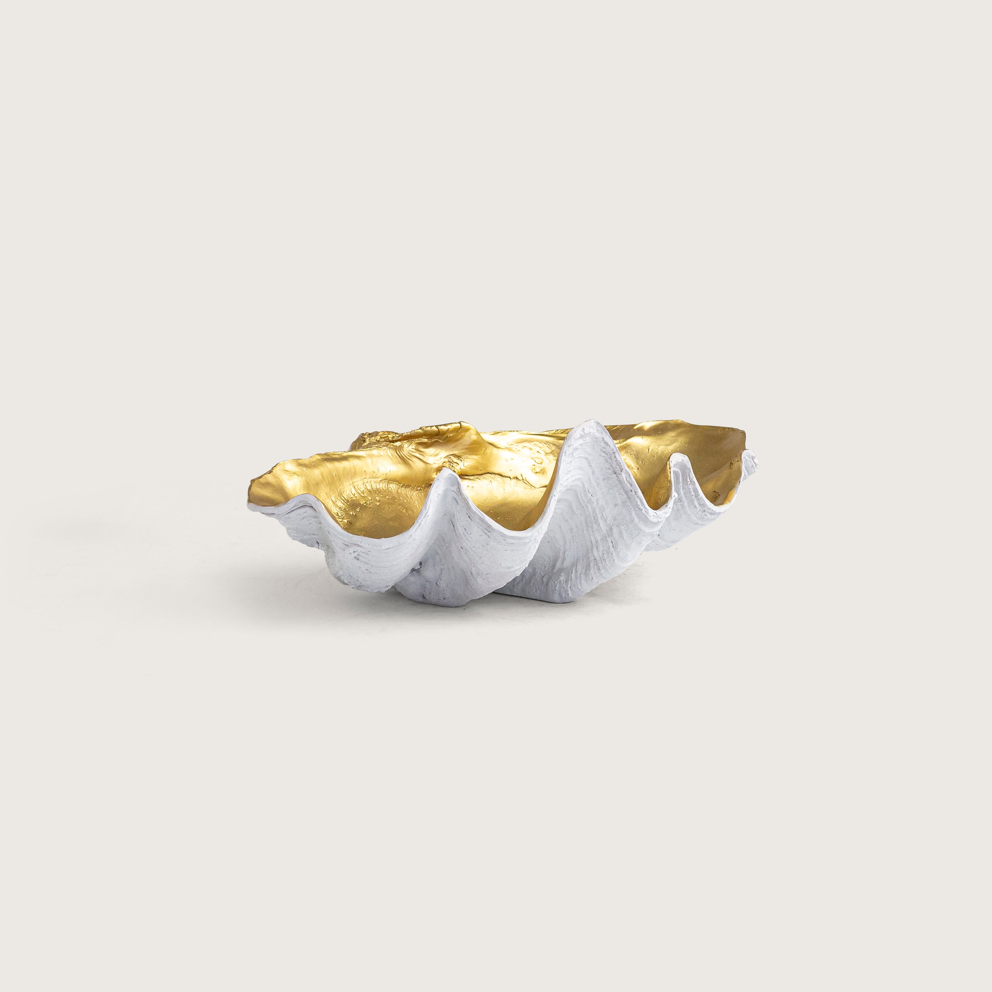 66cm Large White Clam Bowl