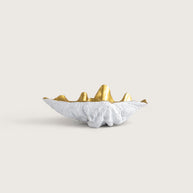 66cm Large White Clam Bowl