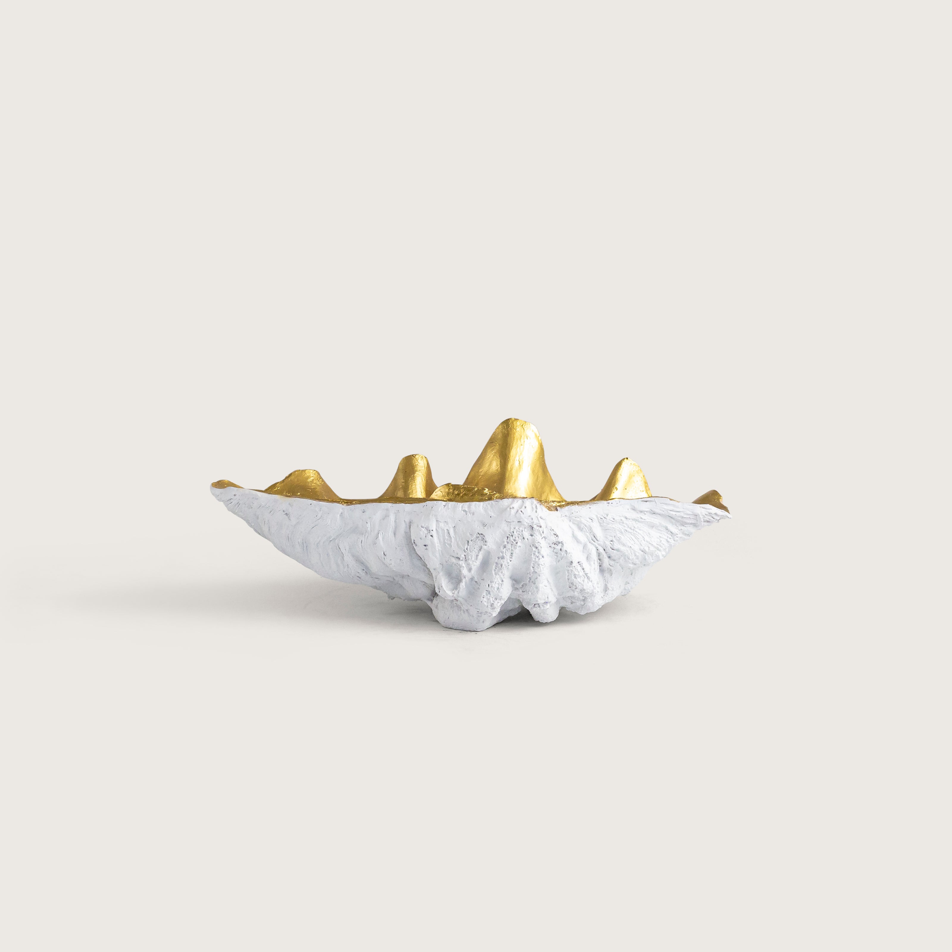 66cm Large White Clam Bowl