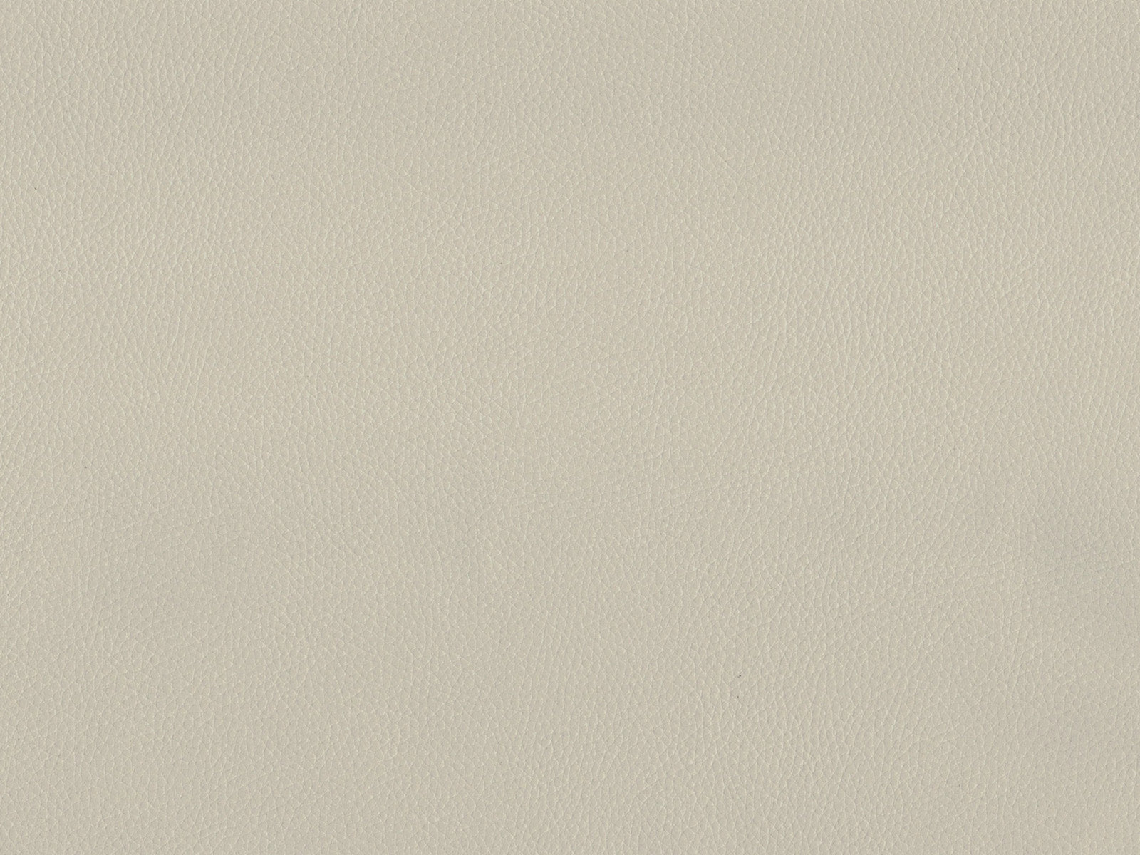 Maximo-FR Chalk - 3386
