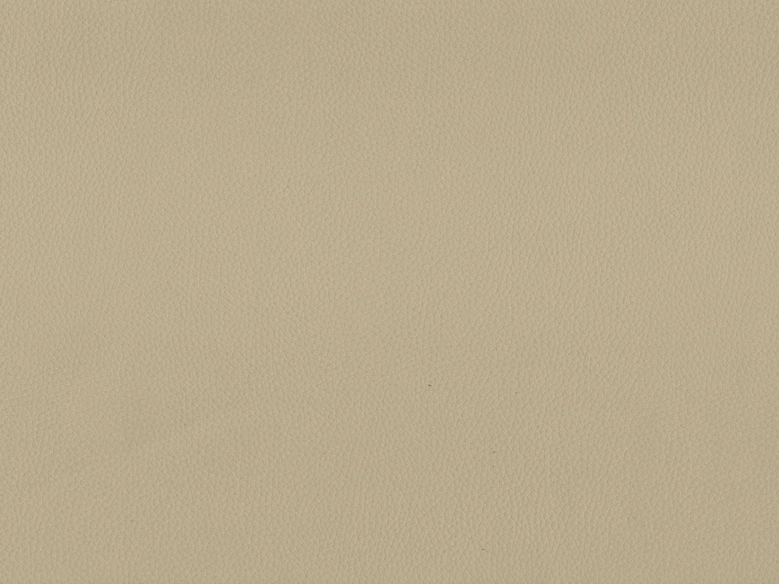 Maximo-FR Cream - 3387