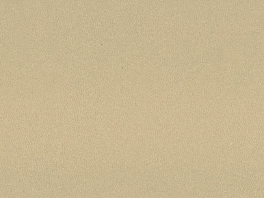 Maximo-FR Biscuit - 3388