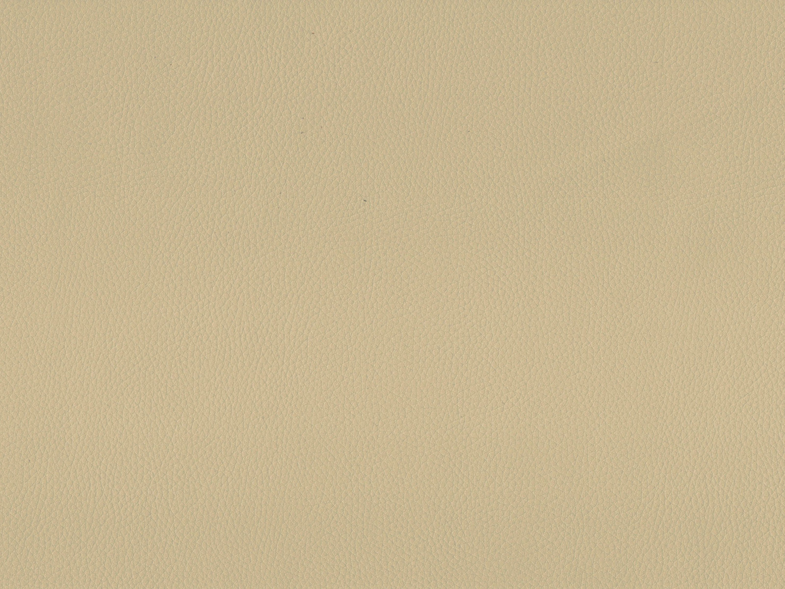 Maximo-FR Biscuit - 3388