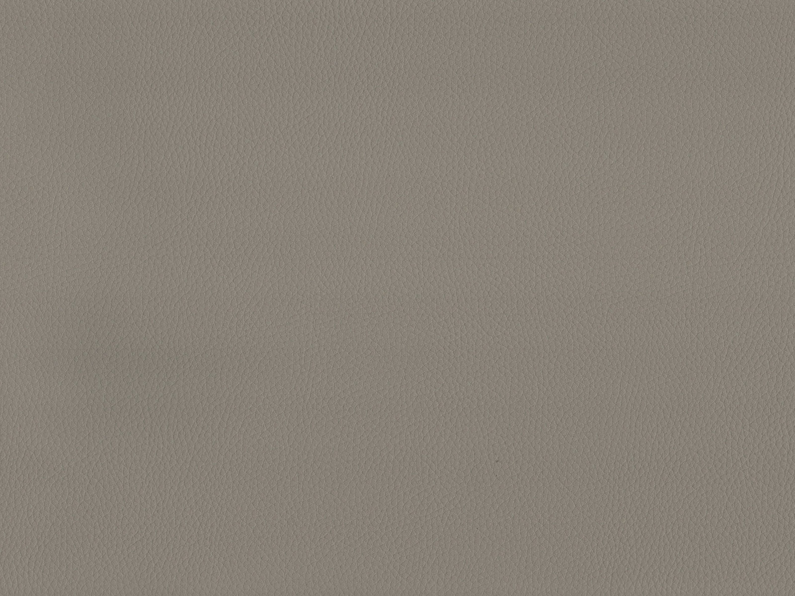 Maximo-FR Taupe - 3389