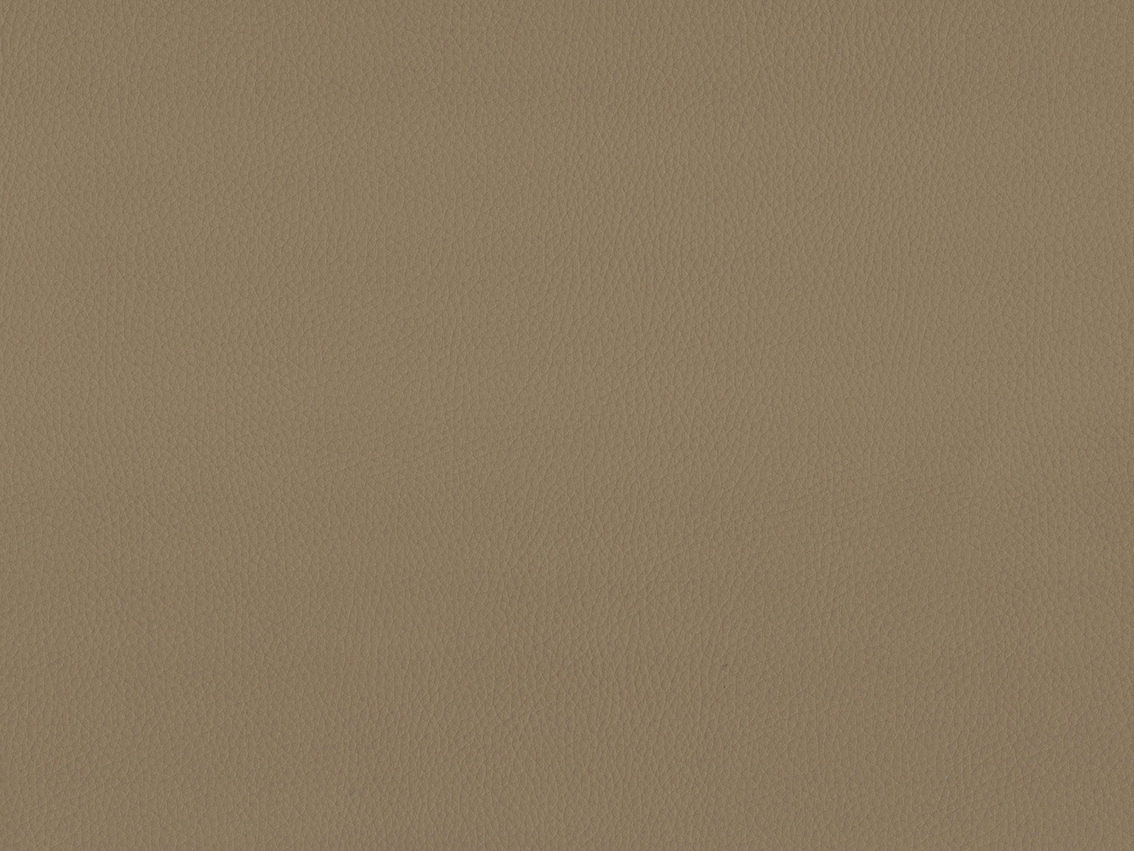 Maximo-FR Fudge - 3390
