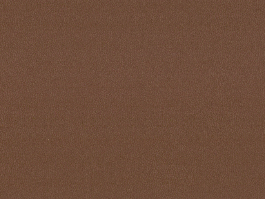 Maximo-FR Latte - 3391
