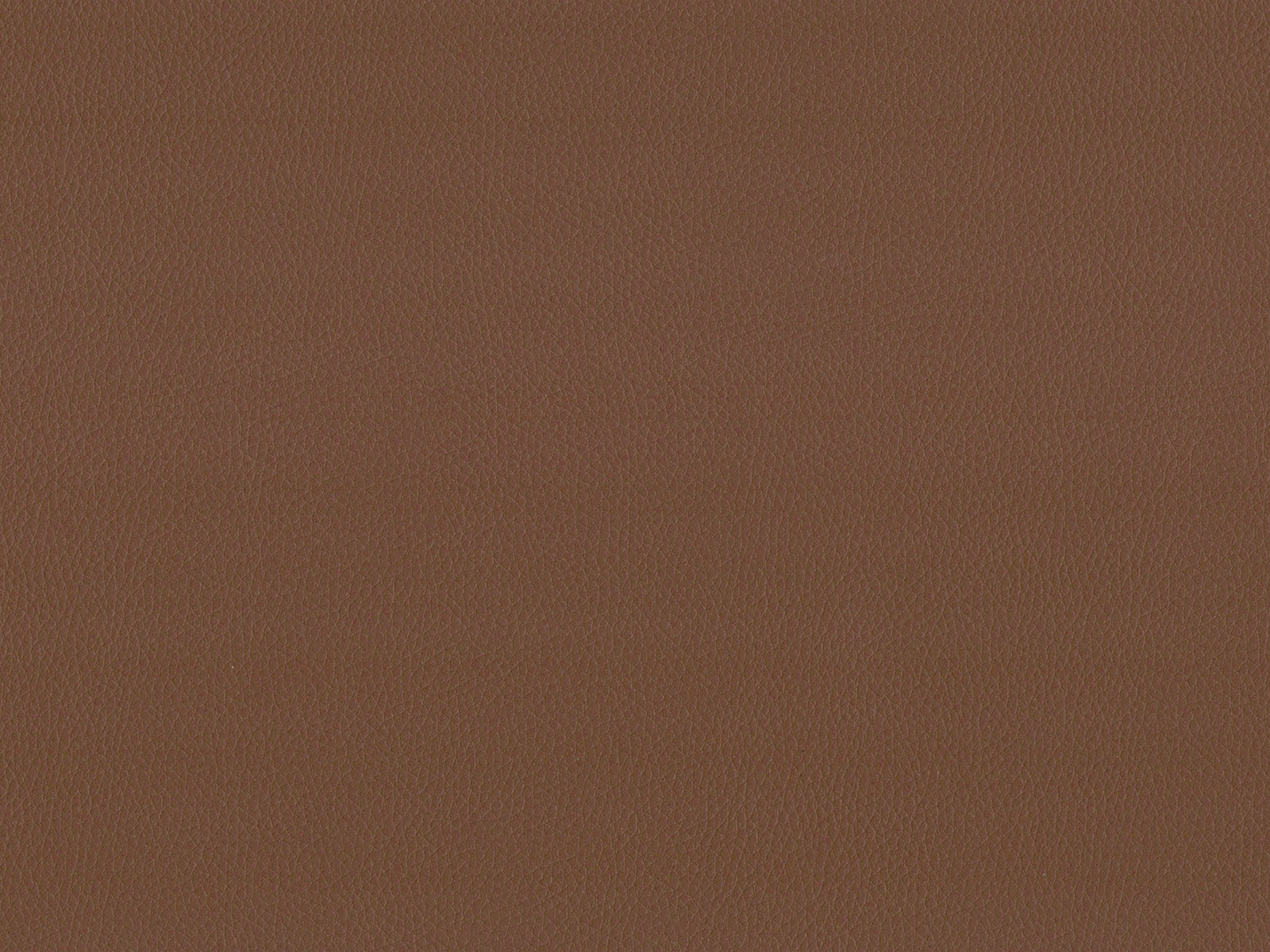 Maximo-FR Latte - 3391