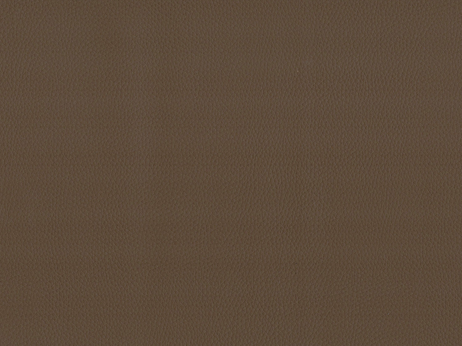 Maximo-FR Tan - 3392