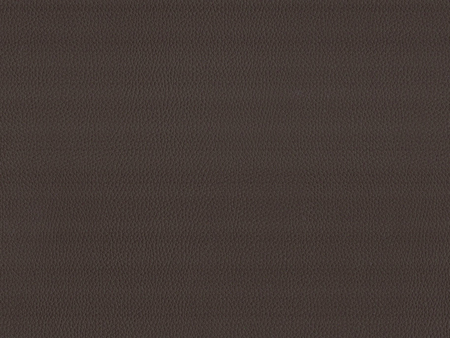 Maximo-FR Chocolate - 3393