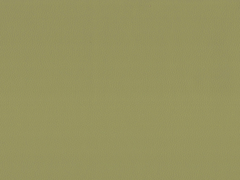 Maximo-FR Lime - 3395