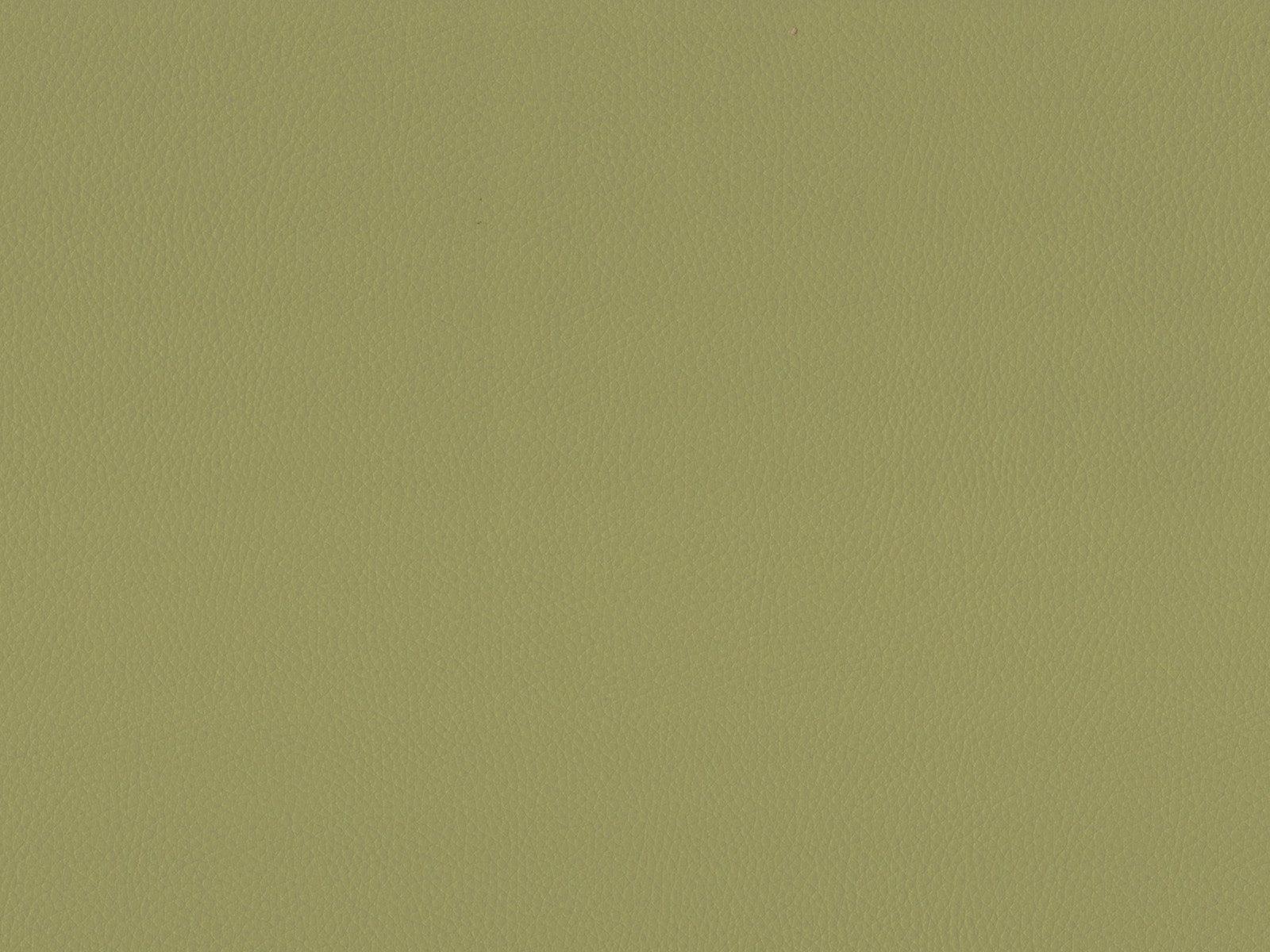 Maximo-FR Lime - 3395