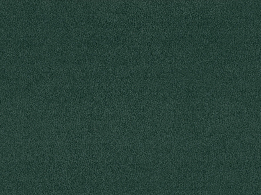 Maximo-FR Celtic - 3396