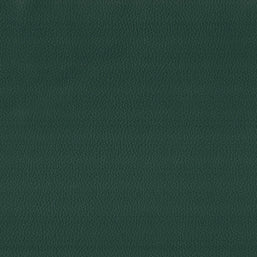 Maximo-FR Celtic - 3396