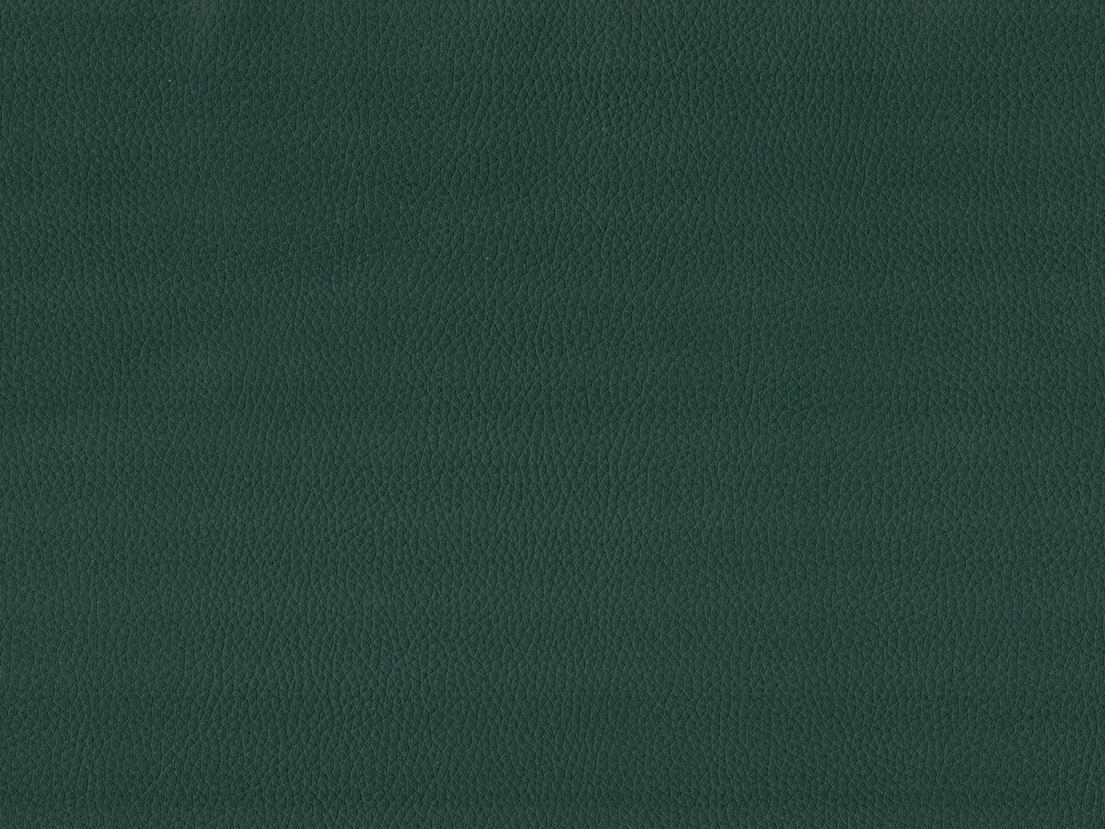 Maximo-FR Celtic - 3396