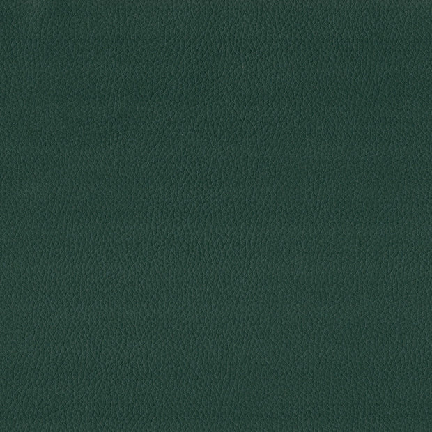 Maximo-FR Celtic - 3396