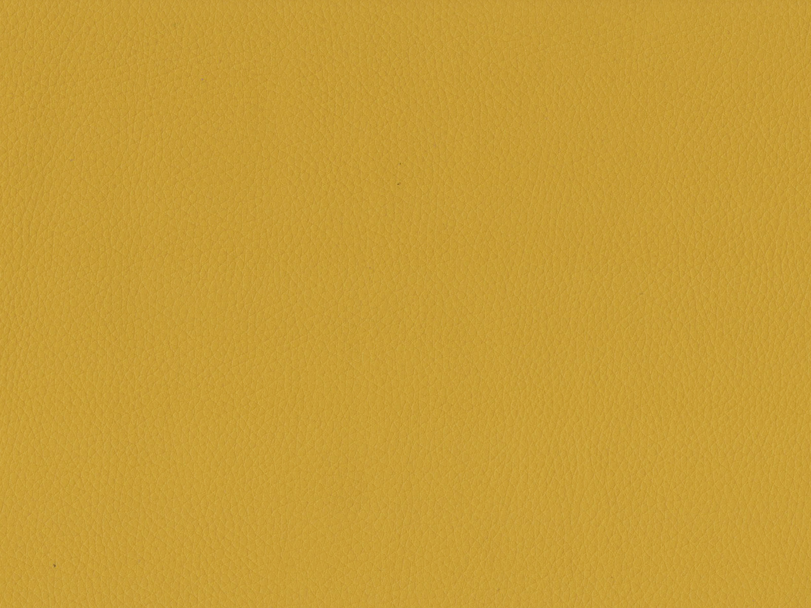 Maximo-FR Mellow - 3397