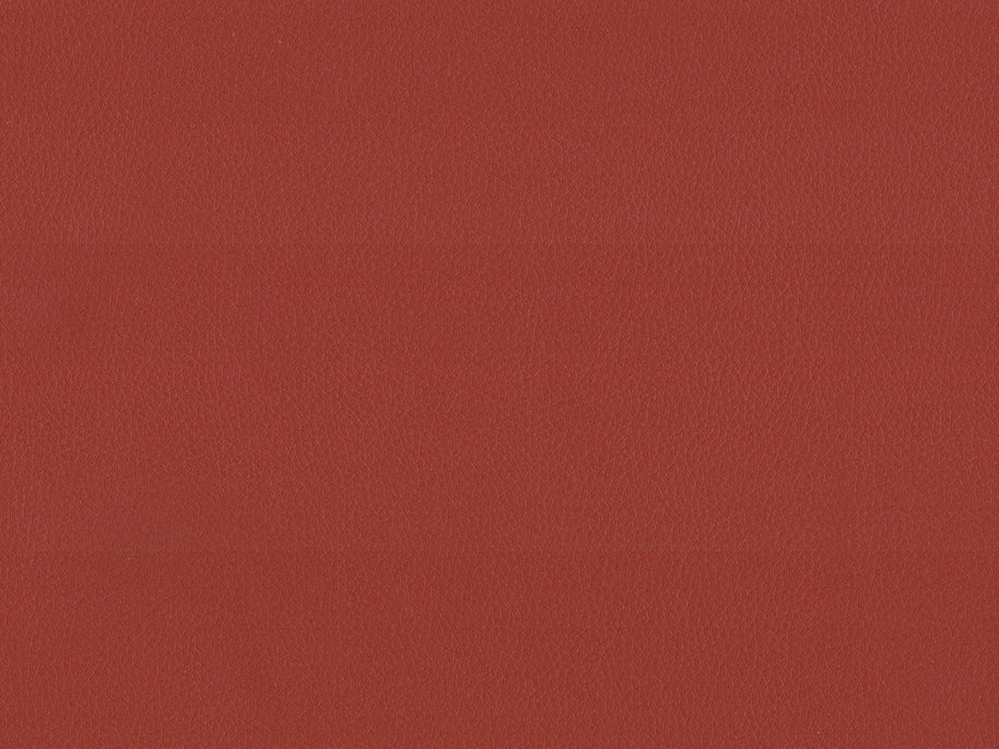 Maximo-FR Royal -3399