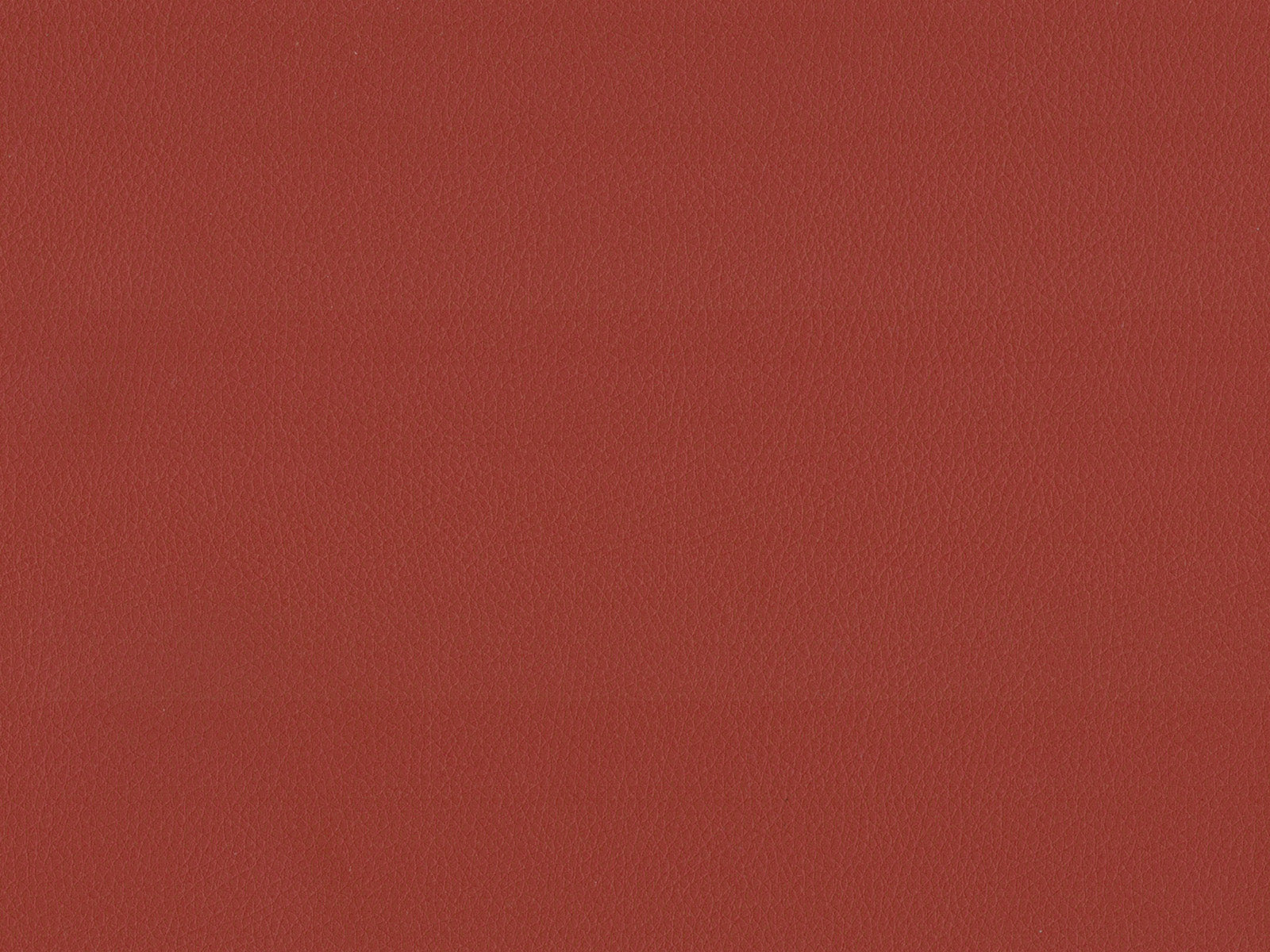 Maximo-FR Royal -3399